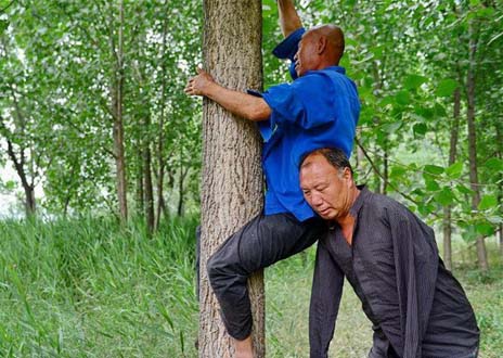 �ж������ֲ������