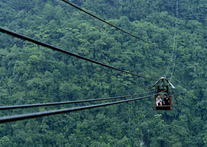 �����׷壺�����������سɾ�