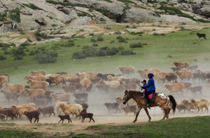 �½�����̩�����Ǩ�㳡����