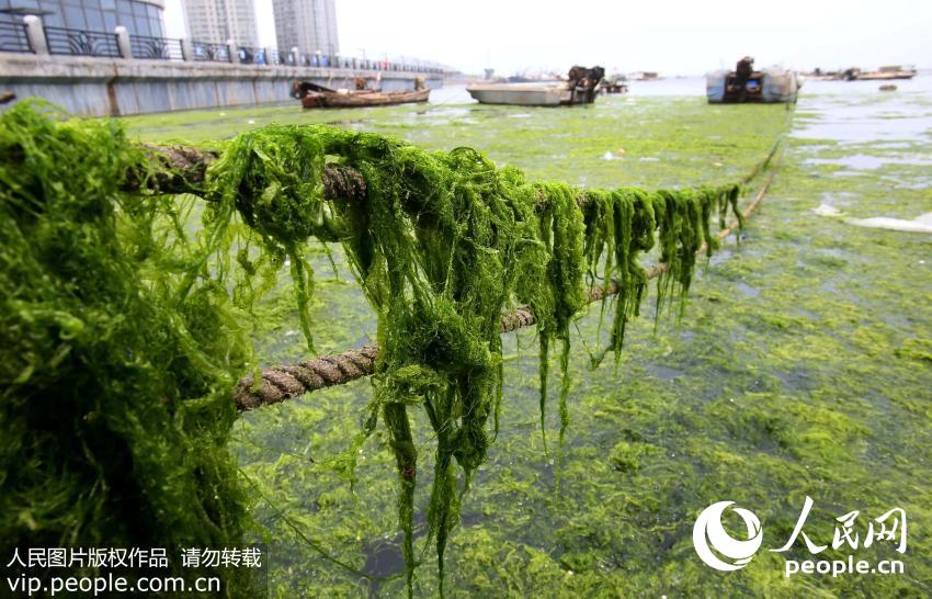 ������ͼ���̦��Ϯ�������Ƹۺ�����2��