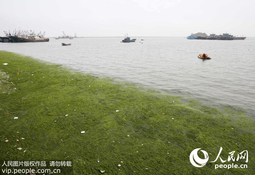 ������ͼ���̦��Ϯ�������Ƹۺ�����3��