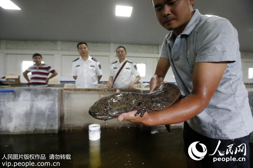 6��13�գ�������ˮ����ѧ�о�����ר�����ڲ鿴�����Ұ�������㡣