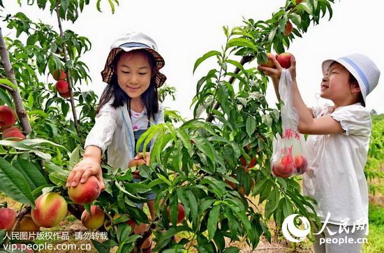 安徽滁州:特色产业助脱贫(2016.6.13)13版