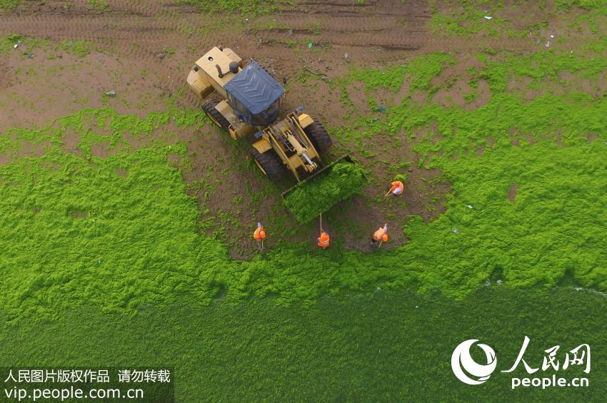 �̦�����ൺ������������ڣ��������ŵ����������ھ�����ֳ�ʵʩ������ҵ��