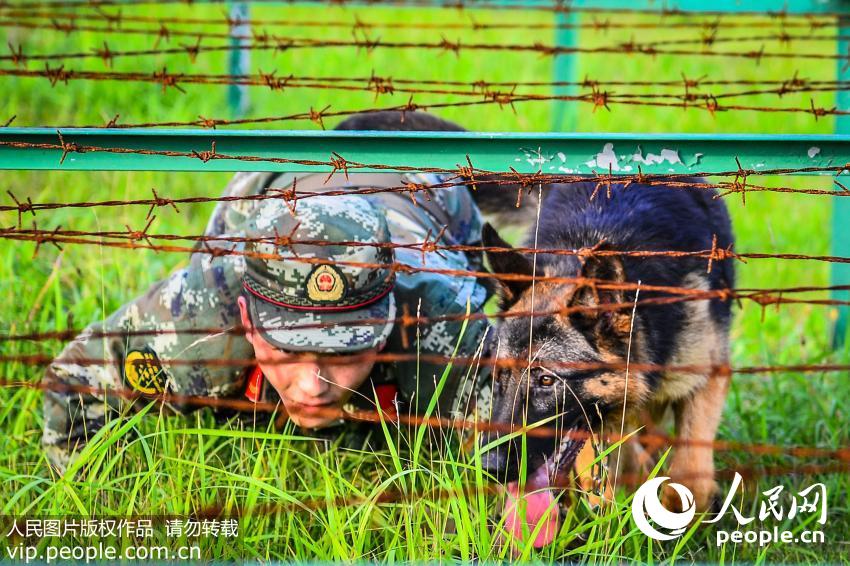 �����롰��������չ��������ǰ��ѵ����Ҫ�ﵽ����Ȯ��Эͬ��ϣ������Լ�������������������롰�������γ�Ĭ����