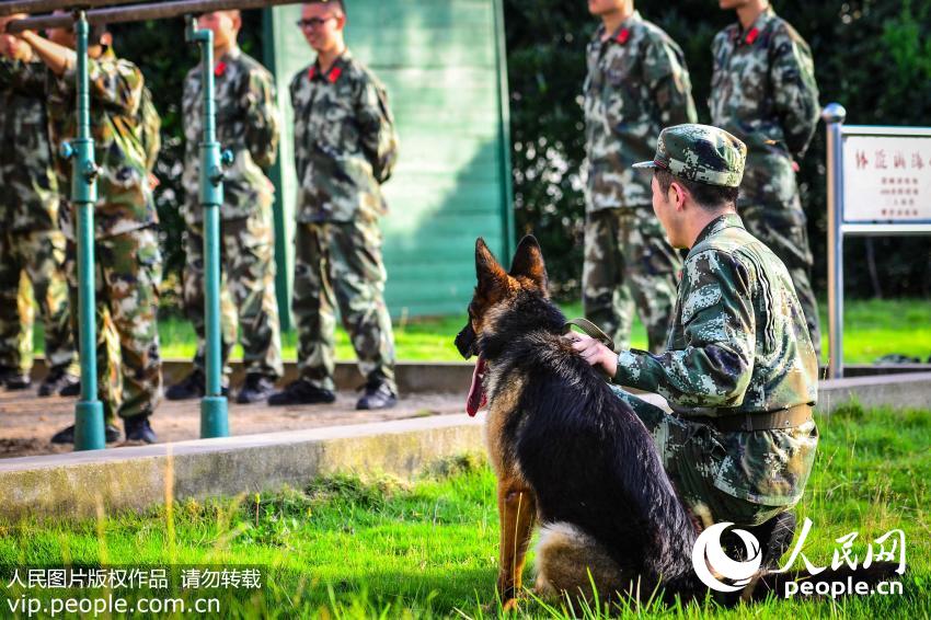 �����������һ��ѵ�������Ժ����ͻ�����ѵ����һ�ߣ������жӹٱ��ղ�һ���Ӫ����