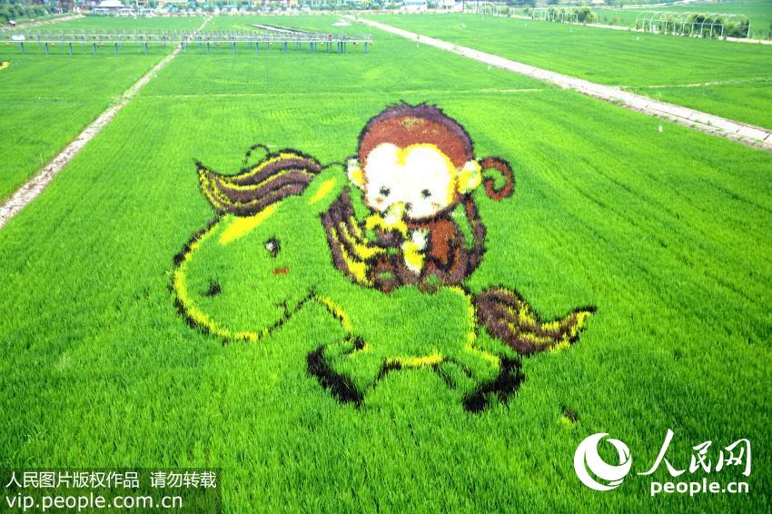 ��3D���ﻭ��������ѹ�����ɫ������������ۼ��