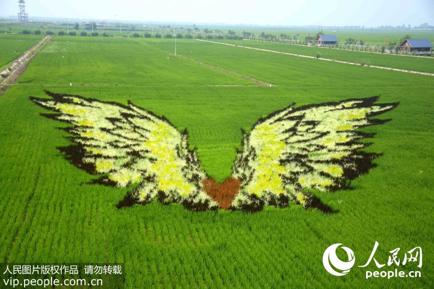��3D���ﻭ��������ѹ�����ɫ������������ۼ��