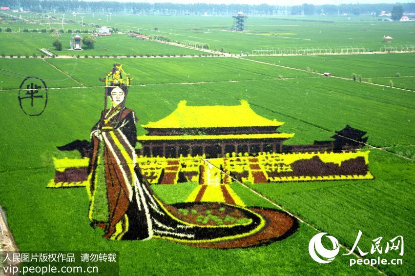 ��3D���ﻭ��������ѹ�����ɫ������������ۼ��