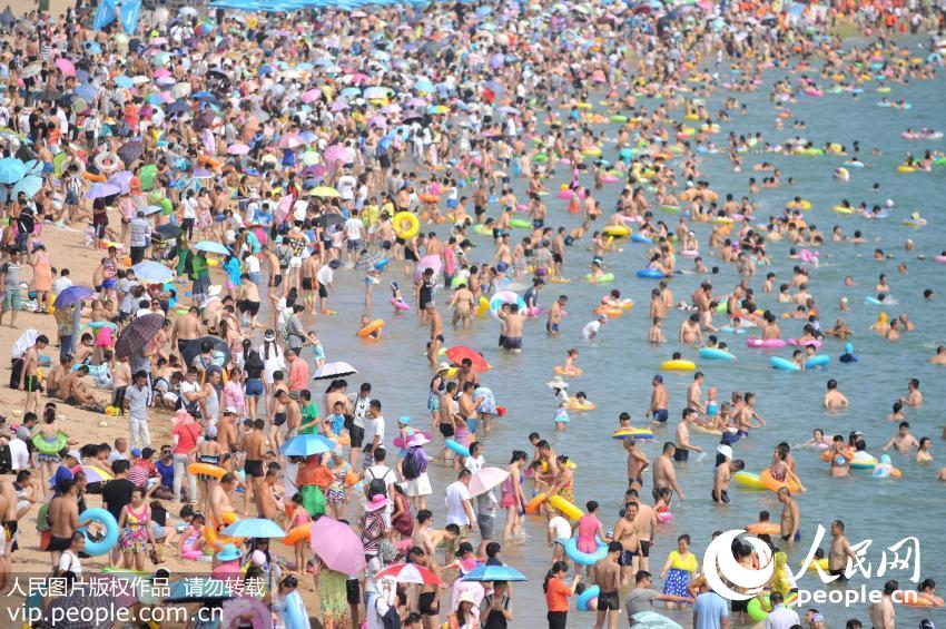 青岛海水浴场数万人避暑纳凉 开启“下饺子”模式