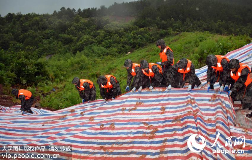 �վ�����ٱ��÷��겼���̰���͸��