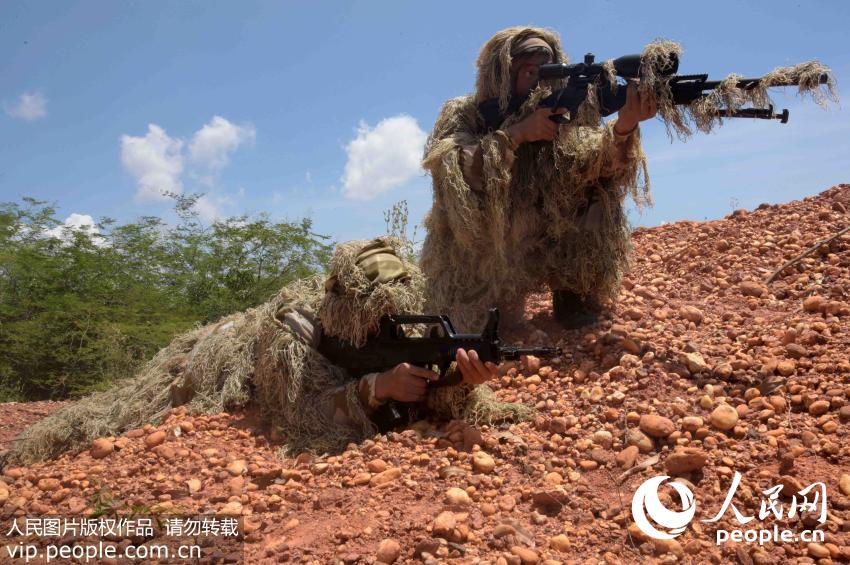 7月28日，武警狙击“搭档”在野外进行快速转移训练。