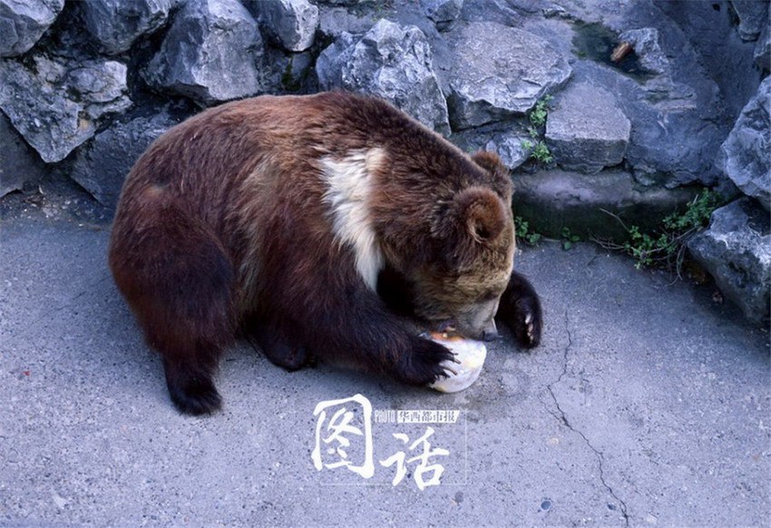 ��¶��������ȣ�����������м�������Ա�����⡣���黯����Բ�����ǻ��᲻���뿪����������ѽ��������ô��������ֻҪ�¶ȴﵽ30���϶����ϣ�������Ա�ͻ����ͱ�������