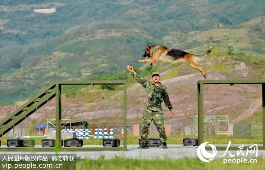 �侯�����ܶ���֧�������жӾ�Ȯ��ѵ��Աѵ����Ȯͨ���ϰ���