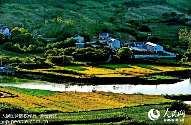 安徽滁州:生态田园入画来(2016.9.1)4版