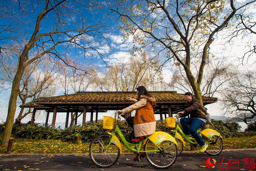 �ο��ﵥ�������������������������ĺ���ɽɫ������2016��2�£����/ͼ˵�й���