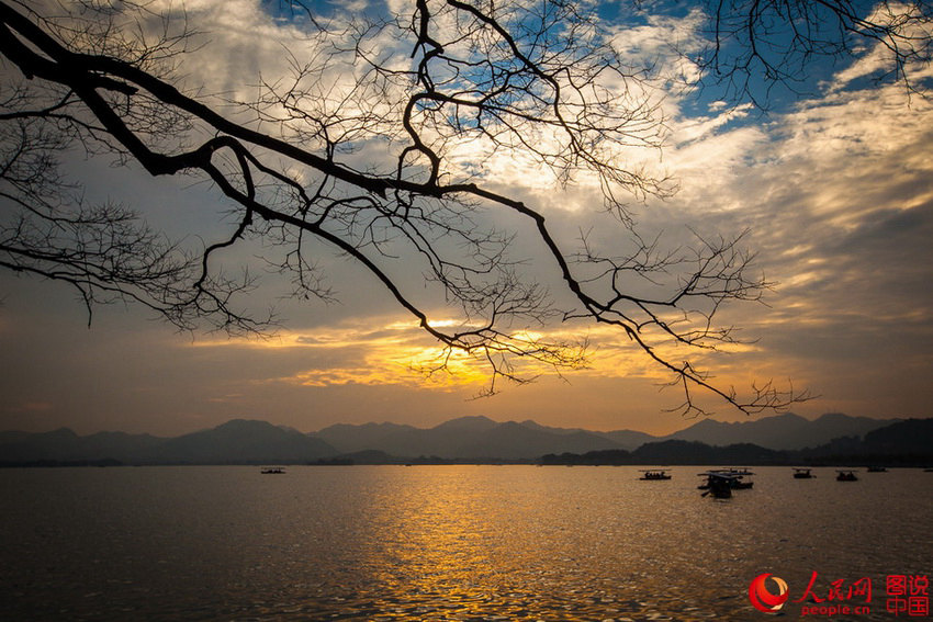 ���յĺ�����һ����ɫ���ͷ׵������ͻ�������2016��2�£����/ͼ˵�й���