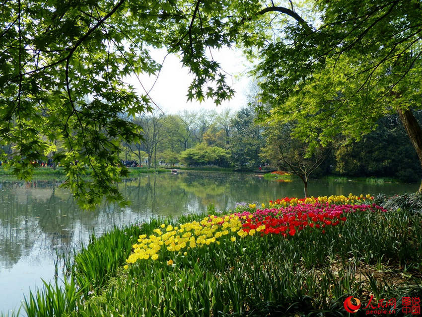 ̫���幫԰���췱���ƽ��������������˸����ͻ�������2016��3�£�����/ͼ˵�й���