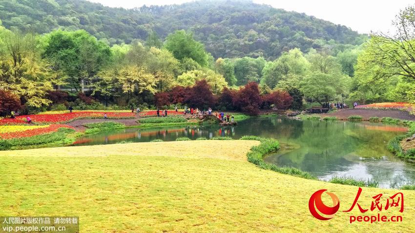 ��������������̫���幫԰������������ӭ������ɫ��������������2016��4�£����/����ͼƬ��