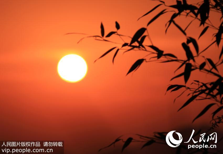 �����������ճ� ��ϼ���쾰ɫ׳�ۡ�5��