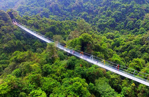 �ָ������룡����������������������
