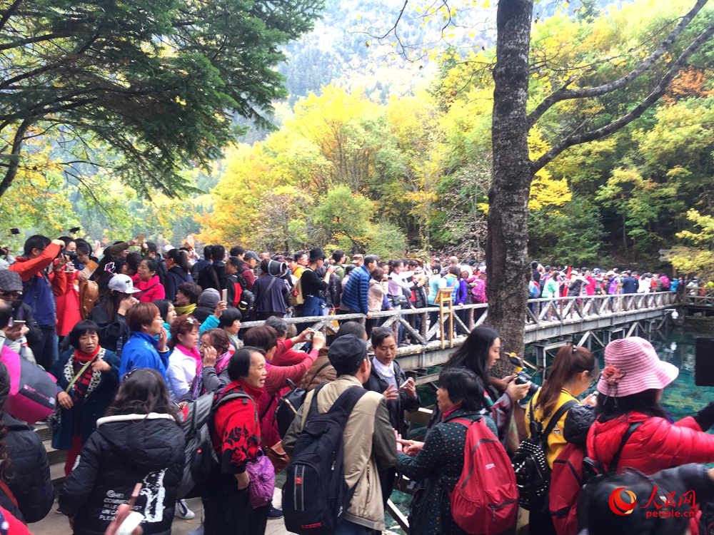 �����կ�������续������֯��5��