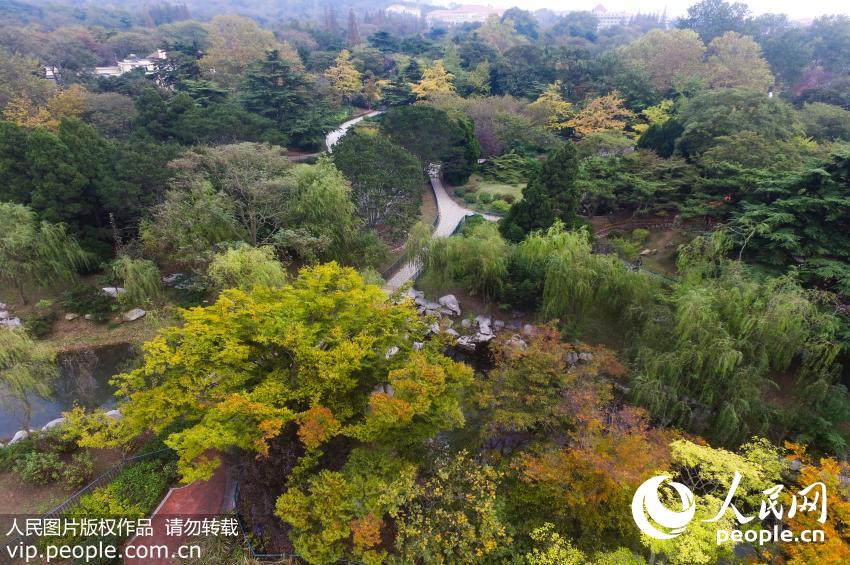 �ൺ������ʰ�� ����ɽɫ��������7��