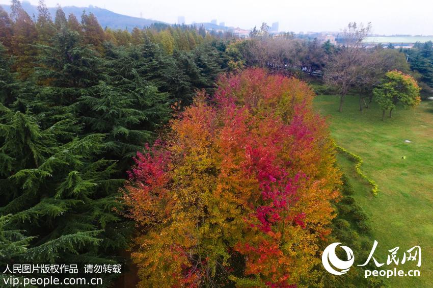 �ൺ������ʰ�� ����ɽɫ��������6��