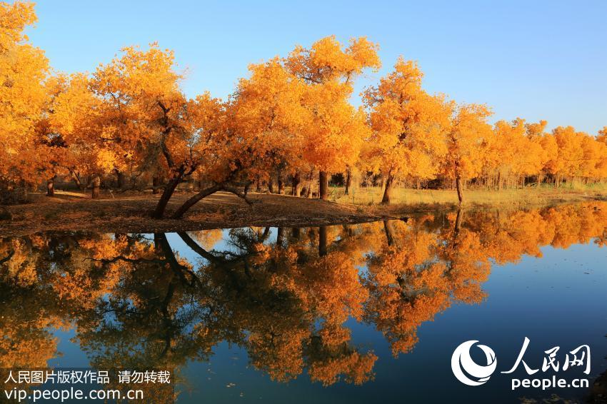 �͵�����ɳĮ���غ���������ͯ������