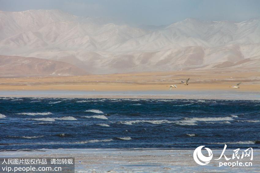 �ຣ������������ģʽ�� ������������������4��