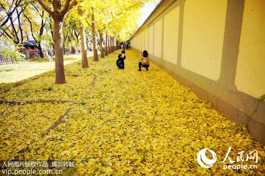 ��������̨�����־���������֯��5��