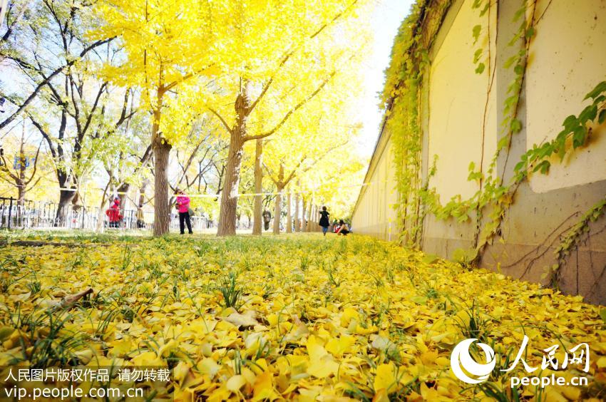 ��������̨�����־���������֯��4��