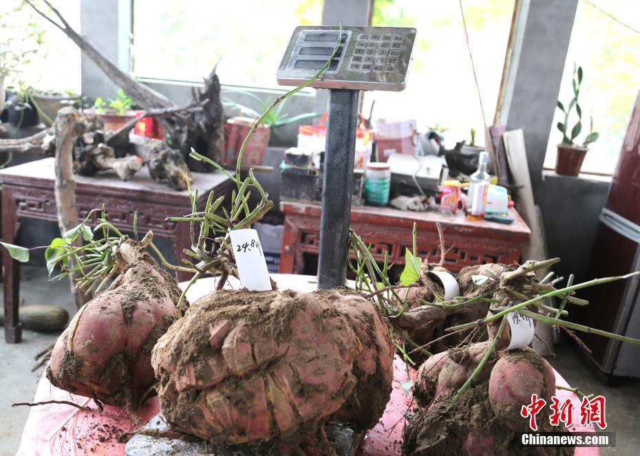 ���������ֳ������ްԡ����� ������24.8�3��