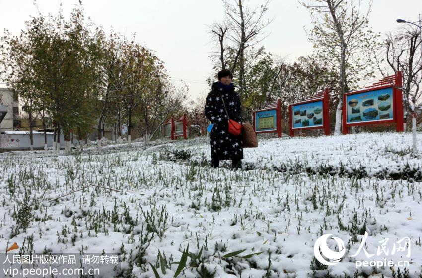 11��22�գ�ɽ��ʡ�޳��д�����һλ������ѩ��Ĺ�԰�����ߡ�������ʤ/����ͼƬ��