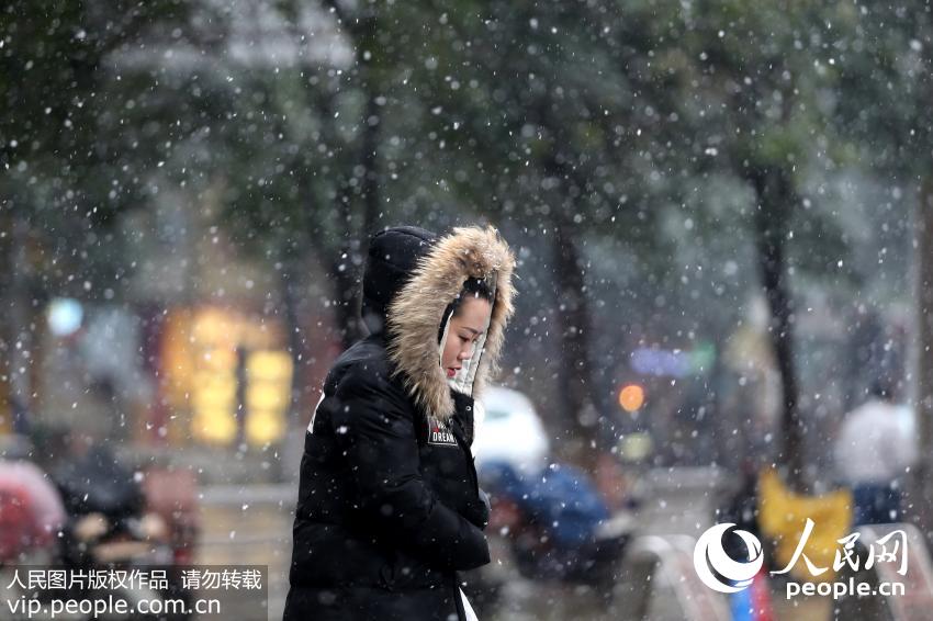 11��22�գ�����ʡ������ӭ���붬�׳���ѩ������ðѩ���������С������Ƴ�/����ͼƬ��