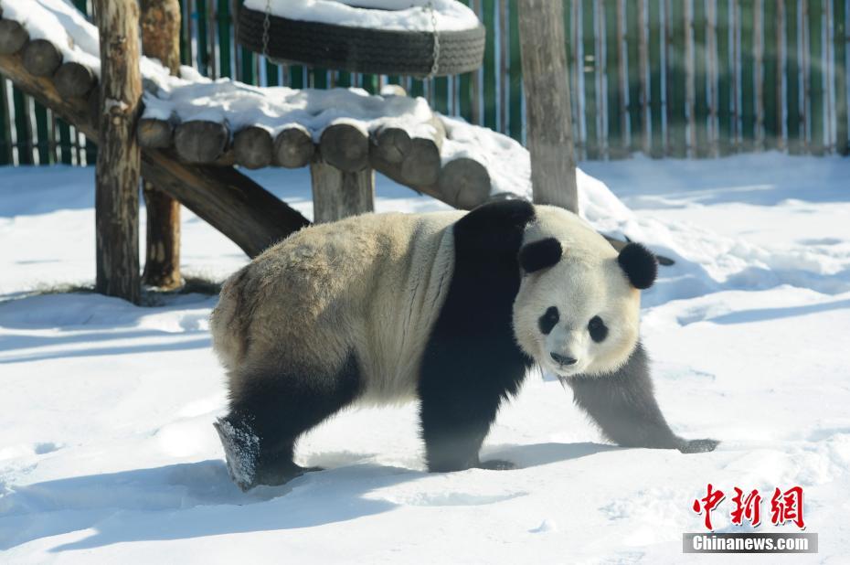 �й����è�� ������èѩ��������2��