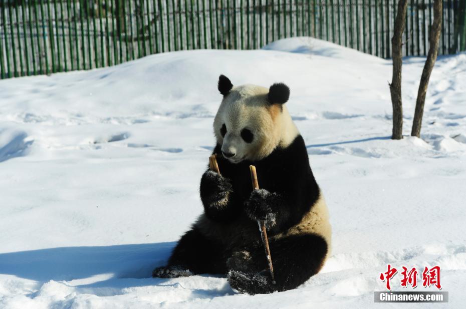 �й����è�� ������èѩ��������7��
