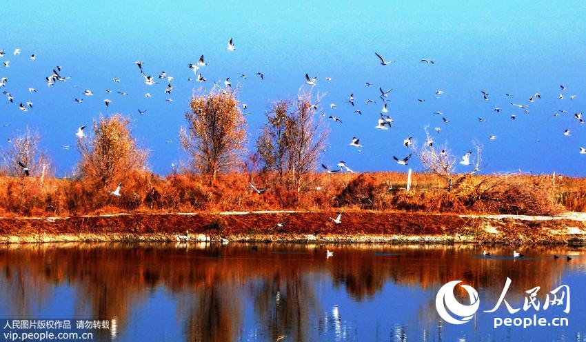 �½���˹�ں����϶��������续