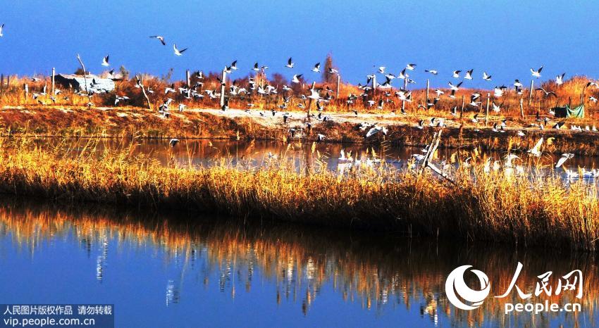 �½���˹�ں����϶��������续��6��