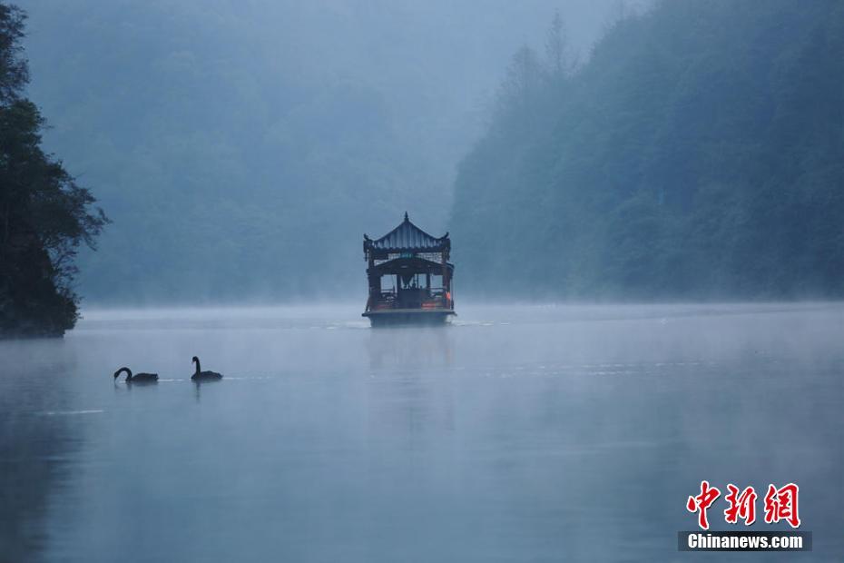 �żҽ籦���������������ˮī����3��