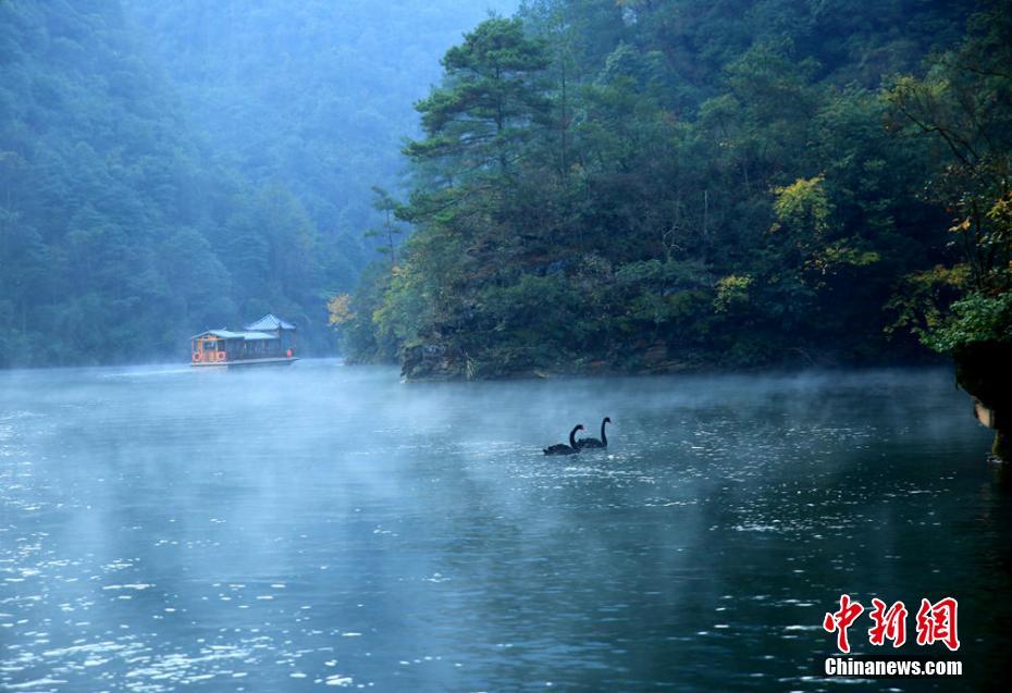 �żҽ籦���������������ˮī��