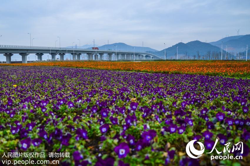 �㽭�������ջ������������ˡ�2��