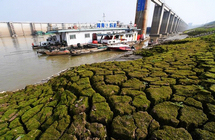 �潭���ν����ˮ��