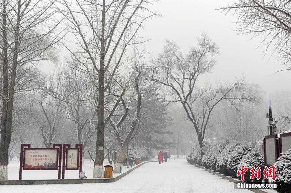 �����Ӱ�ӭ��ѩ ������������װ�ع�����2��