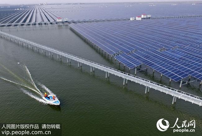 浙江慈溪:全国最大规模渔光互补光伏发电项目