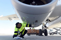 �ɻ������ʦ������ʤ��Ϊ���˻���