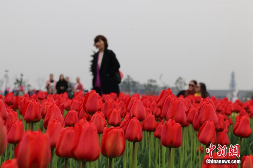 300Ķ������Ѥ������ �ο����໨�����ġ�2��