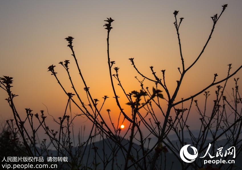�㽭������Ǯ������ Ⱥɽ��������컡�9��