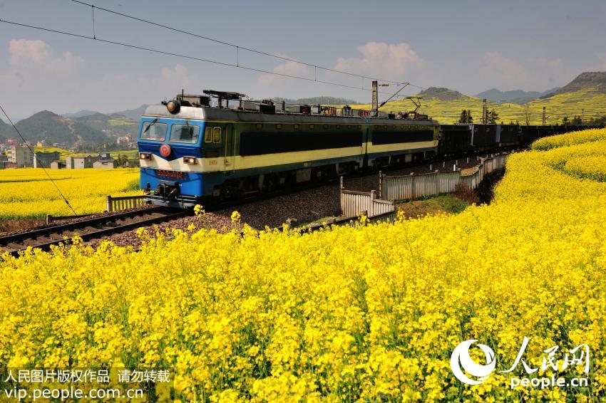 ������ƽ80��Ķ�Ͳ˻�ʢ����һ�����������Ļ𳵴��������Ͳ˻����д�������ë��/����ͼƬ��