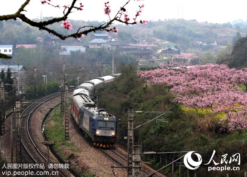 �����ƽ����������ذ�ͷƺ����Ķ�������࿪�ţ��г���������ʻ����������/����ͼƬ��